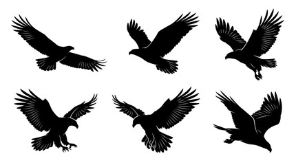 Fototapeta premium Black bird silhouettes, flying eagle illustrations, raven icons, 6 piece set