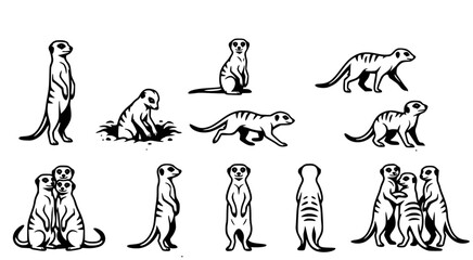 Fototapeta premium Detailed meerkat family vector collection featuring adult and baby meerkats in different stances and social interactions for wildlife conservation graphics or educational animal character design