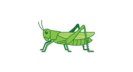 Fototapeta premium Green grasshopper illustration with detailed legs flat vector silhouette