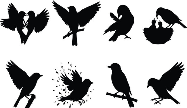 Collection of detailed black bird silhouettes in various poses including flying perched preening and feeding chicks
