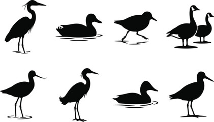 Collection of water bird silhouettes including herons ducks geese and shorebirds isolated on white background © MdSohel