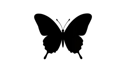 Isolated elegant black butterfly silhouette with gracefully spread wings, simple nature insect. © David