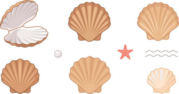 Marine life illustration collection with natural beige scallop shells glossy pearl and miniature starfish graphics for nautical summer beach pattern design