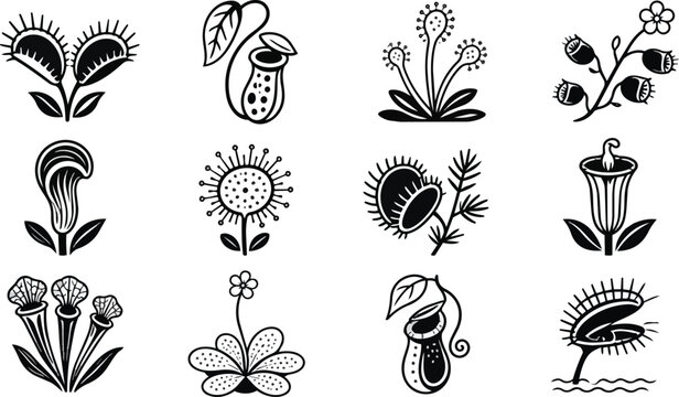 Carnivorous Plants Vector Icons Black and White Stylized Collection