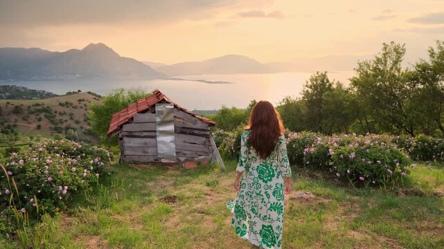 Female tourist walking in a rose garden with lake and mountain views; sunset light, pink roses, rural cabin and scenery create a peaceful travel and countryside vacation themed stock video scene clip.