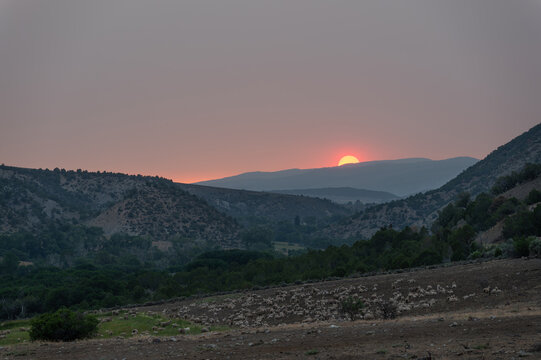 Herd of sheep grazing under wildfire enhanced sunset and cloudscape over Grass Valley in western Colorado on June 28, 2026.