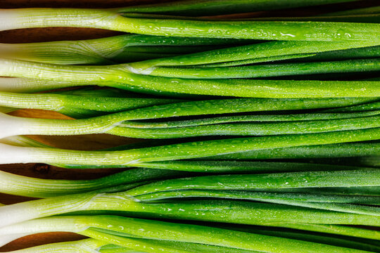 Fresh green spring onion stalks with water drops on a wooden background.