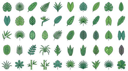 Tropical Leaves Icon Set © Yasmin