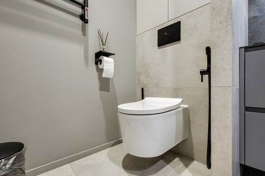 toilet bowl and other furniture in wc toilet