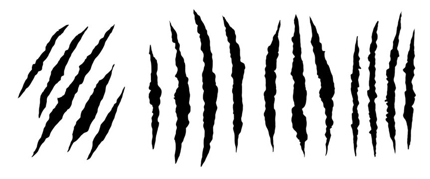 Abstract black claw scratch collection isolated on white background. Grunge slash marks with ripped texture for gaming, horror, branding, and print design. Sharp aggressive claw effects set.