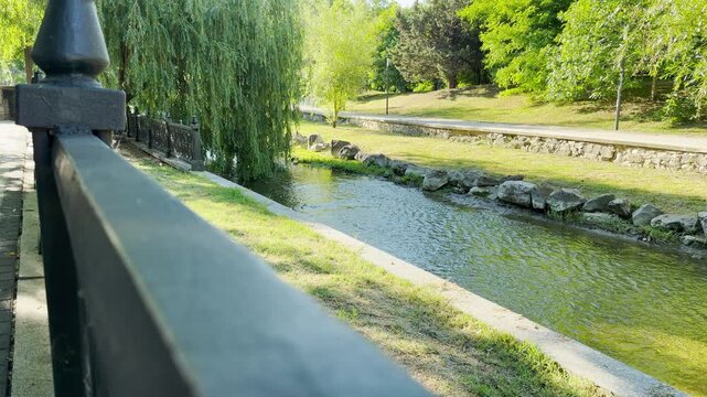 A calm river flows past a weeping willow in a sunlit park in Simferopol, Crimea. The peaceful scene brings a joyful and serene feeling.