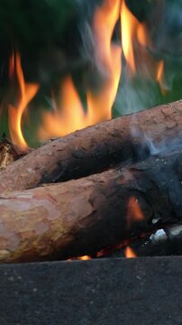 Vertical video. Firewood is burning in barbecue grill