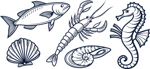 Marine life and seafood elements including fish, lobster and sea horse © Sadhin07