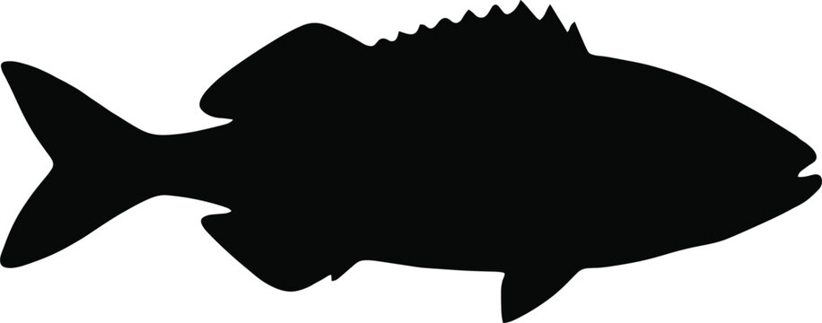 Marine Fish Silhouette Vector Icon Featuring Snapper Bass Shape Outline for Fishing Tournaments, Seafood Restaurant Menus, Angling Clubs, and Ocean Wildlife Designs