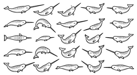 Detailed set of spotted narwhal illustrations featuring varied swimming poses in a clean black and white line art style for marine and arctic themed creative projects © aminul