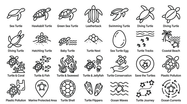 A comprehensive set of modern line vector icons illustrating various sea turtles types activities and conservation efforts.