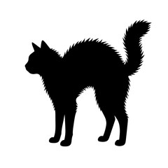 Black Cat Silhouette, Feline Icon, Pet Illustration, Animal Design isolated on White Background © MD. SAIFUL