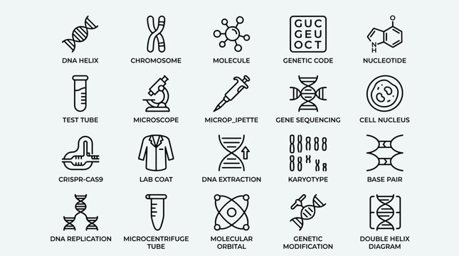 Biology and genetics research icons featuring dna helix chromosome molecule genetic code nucleotide test tube microscope micropipette gene sequencing cell nucleus.