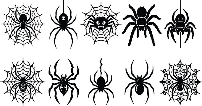 Black spiders and spiderwebs collection