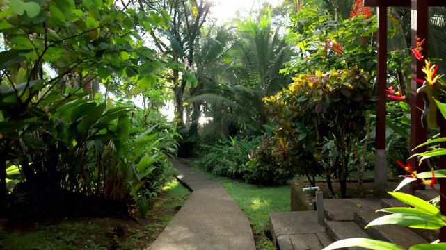 Walking on a path through a lush tropical garden toward the beach