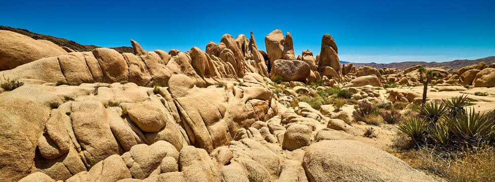 White Tank Monzogranite Formation, Joshua Tree National Park, CA.