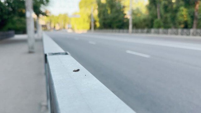 A metal railing borders an empty street in Simferopol, Crimea. The vacant road stretches into the distance. This quiet view creates a deeply peaceful yet lonely feeling.