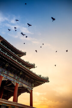 Templo tradicional chino al atardecer con aves en vuelo