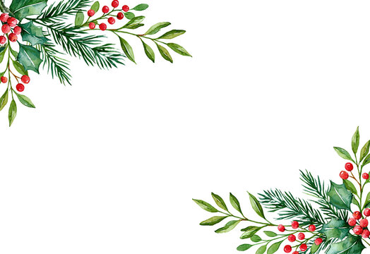 Christmas holly and evergreen corner border on transparent background
