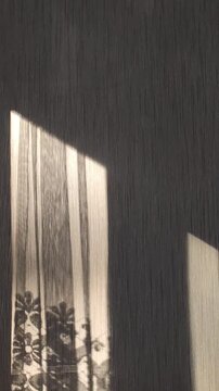 Neutral wall illuminated by geometric patches of natural sunlight, creating clean architectural shadows.
