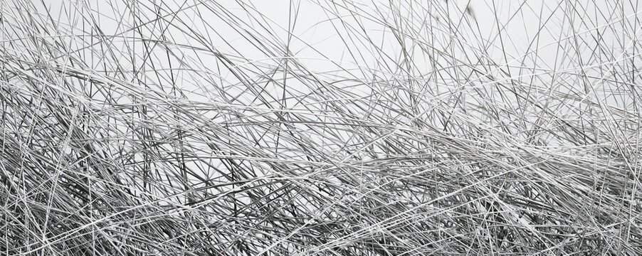 Close-up of textured dry grass and wheat stalks in a field