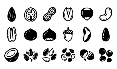 Hand Drawn Nuts Silhouettes Set Black Doodle Nut Collection Vector Illustration © Tonmoy