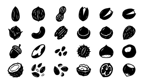 Minimal Hand Drawn Black Nuts Silhouette Set Doodle Vector Food Illustration