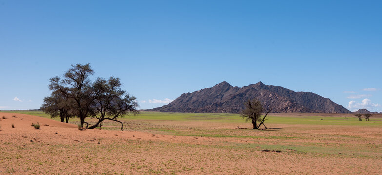 D&eacute;sert du Namibie, parc national du Namib Naukluft en Namibie