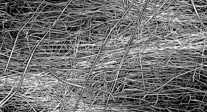 Abstract horizontal texture of dry grass and straw.