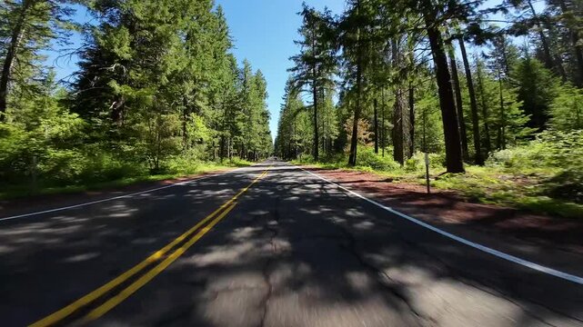 Oregon Rogue Umpqua Scenic Byway Union Creek 04 Front View 62 Eastbound Driving Plates Northwest USA Ultra Wide