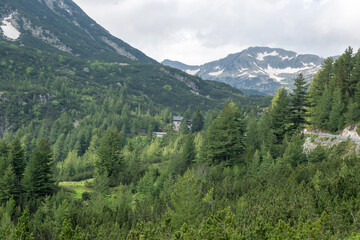 Fototapeta premium Pirin Mountain near Banderitsa Area, Bulgaria