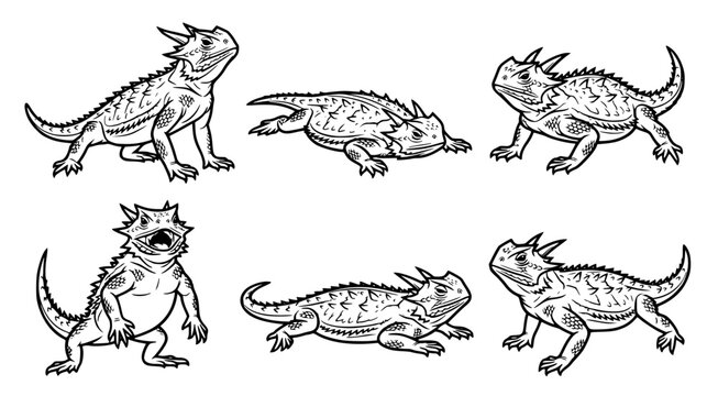 Detailed black and white line art collection of horned lizards in various stances featuring spiky textures for herpetology research or educational materials