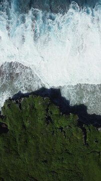 Vertical drone footage of powerful ocean waves breaking against a rugged rocky coastline covered with lush green vegetation in Niue. Dramatic Pacific Ocean seascape captured from above.