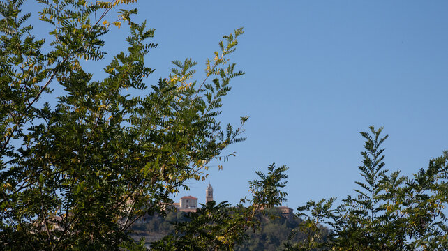 landscapes of the Langhe in Piedmont with vineyards during summer before autumn and the harvest near Alba and Barolo