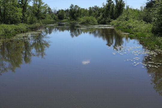reflection in water