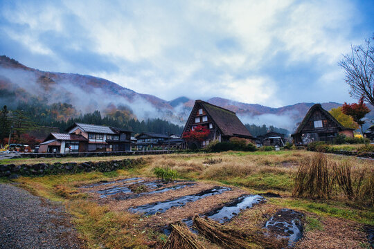 Shirakawa, Gifu, Japan - 09 November 2025: View of Shirakawa-go with traditional gassho-zukuri farmhouses, autumn foliage, and misty mountains under a cloudy sky.
