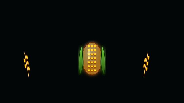 a sequence of stylized corn stalks and ripe ears floating against a dark void reflecting an autumn festival theme relevant for modern wildfire prevention visual communication