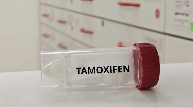TAMOXIFEN selective estrogen receptor modulator for hormone receptor positive breast cancer