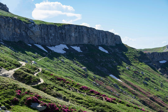 mountain landscape, La Cerdac, Bucegi Mountains, Romania 