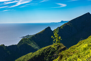 Obraz premium Dramatic Coastal Mountain Vista with Lush Green Cliffs and Blue Ocean Horizon