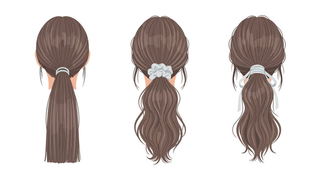 Woman's Brown Ponytail Hairstyles: Simple, Scrunchie, and Ribbon Tie - Back View