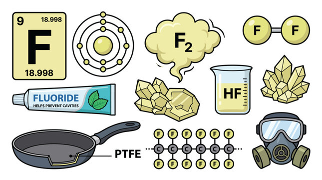 Fluorine Element Infographic Set with Periodic Table Symbol, Bohr Model, Fluoride Toothpaste, Crystals, PTFE Frying Pan, and Gas Mask Vector Illustration