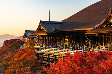 Fototapeta premium 日本の風景・秋 京都 世界遺産 紅葉と夕暮れの清水寺