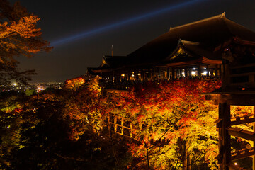 Fototapeta premium 日本の風景・秋 京都 世界遺産 清水寺 紅葉ライトアップ