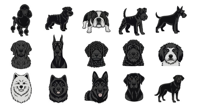 Set of Various Dog Breeds Icons Illustration